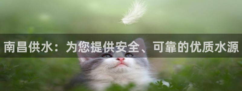 球友会赛程