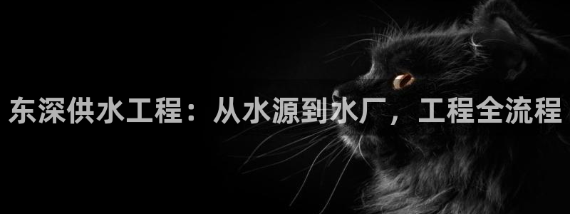 球友会比赛结果查询系统