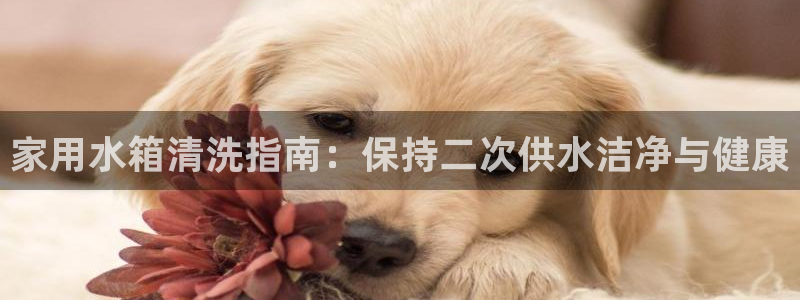 qy球友会体育