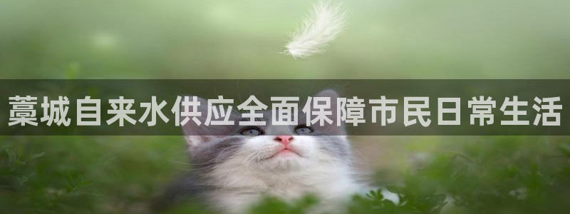 球友会首页