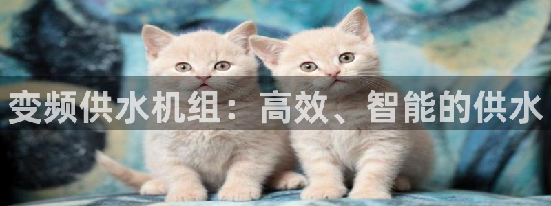 球友会提现游戏平台抽查