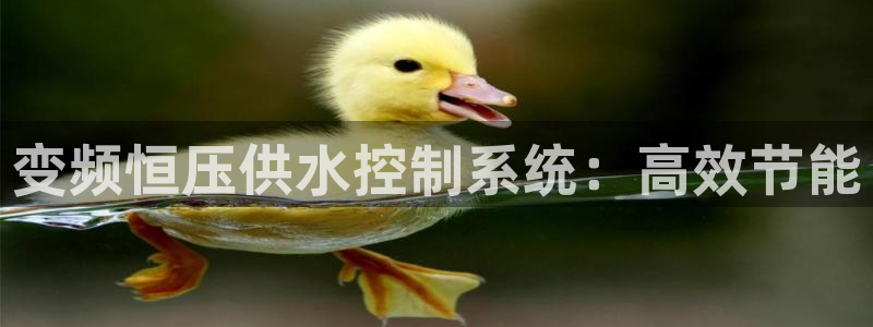 球友会破解码