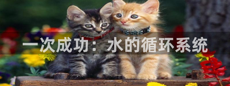 球友会聚餐发言