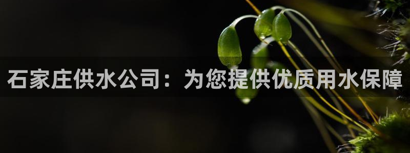 球友会下载安装