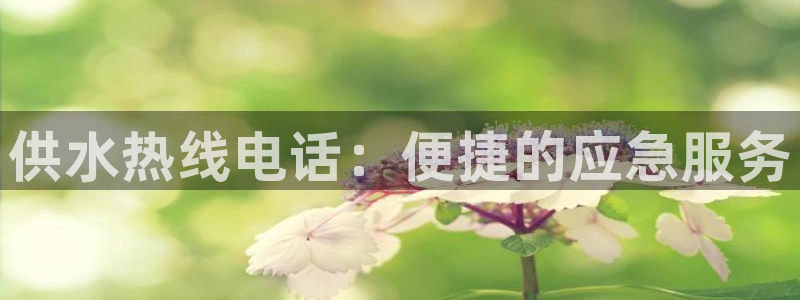 球友会友谊赛赛程