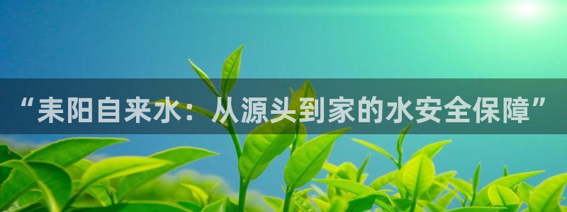 qy球友会体育怎么样