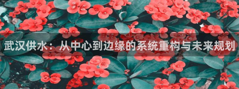 qy球友会体育官方平台