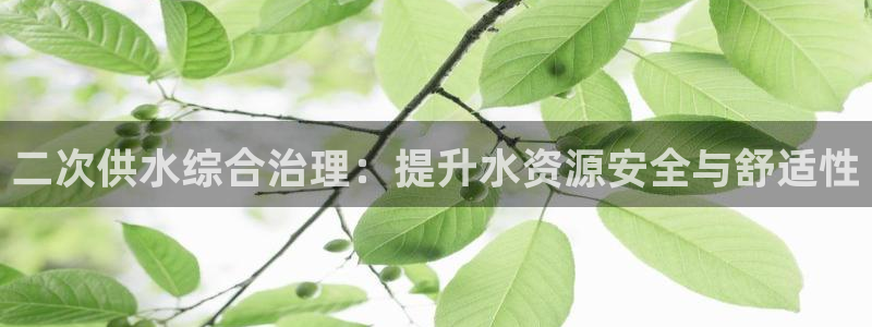 球友会体育app下载官网