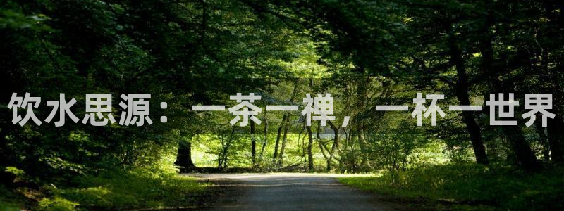 球友会FIFA22比赛是否能随机超控