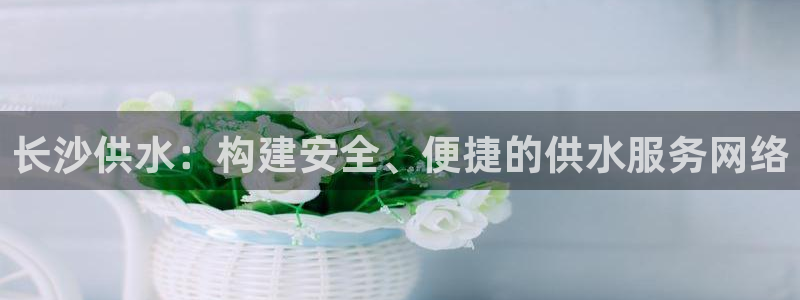 球友会官网下载