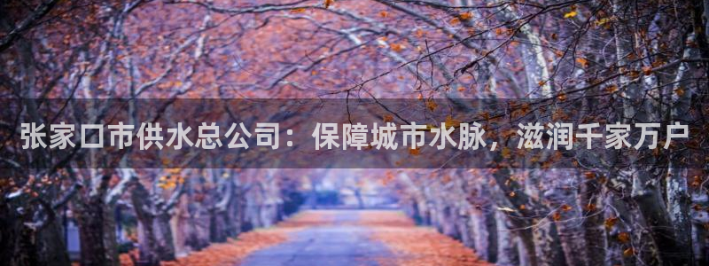 球友会app干啥的